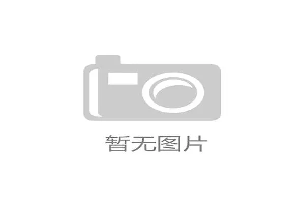 山东体育娱乐频道在线看实时赛事直播服务详细解析满足不同用户的观看需求