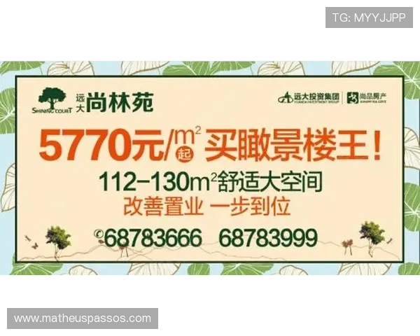 如何通过B sports入口参与官方赛事，赢取丰富奖励